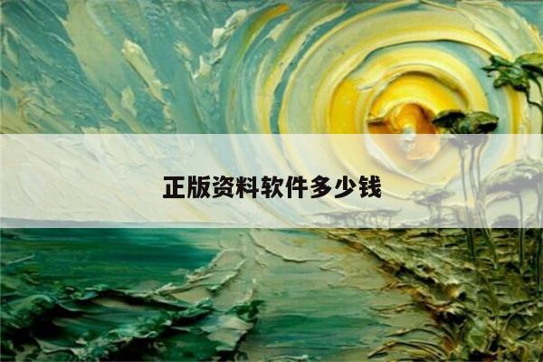 正版资料软件多少钱