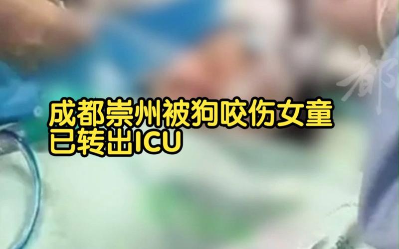下载中心 第13页