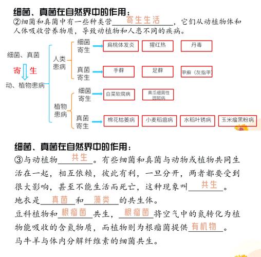 客户服务 第10页