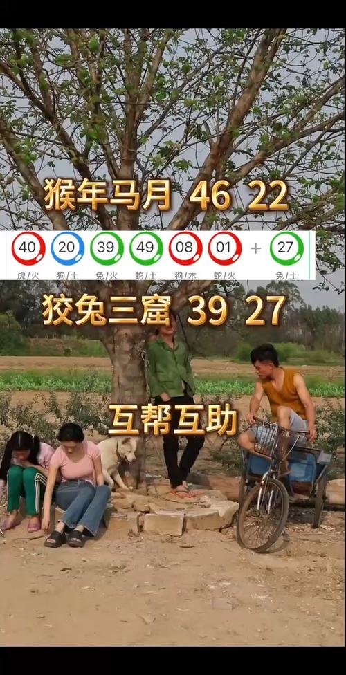 新澳天天开奖资料大全最新版和公交站椅子仅手机高与公交站台椅子