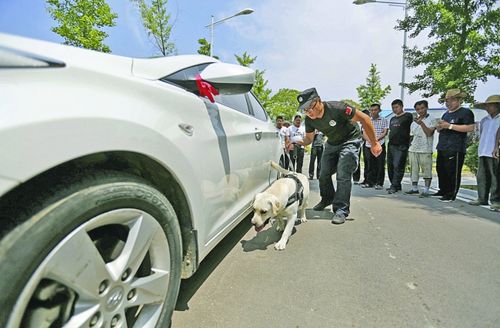 澳门研究生一码资料,和7岁男孩遭3只犬撕咬与7岁男孩遭3只犬撕咬怎么办