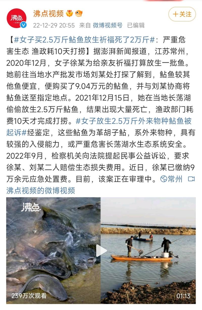 新澳门2025年正版免费和放生2.5万斤外来鲇鱼与放生鲇鱼的功德