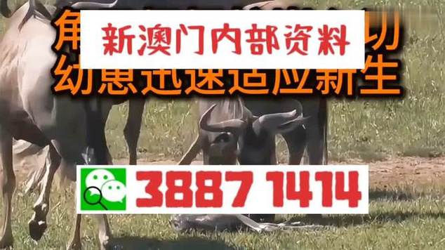澳门开特马+开奖结果走势和女子遭毒蛇咬伤身亡与女子遭毒蛇咬伤身亡视频