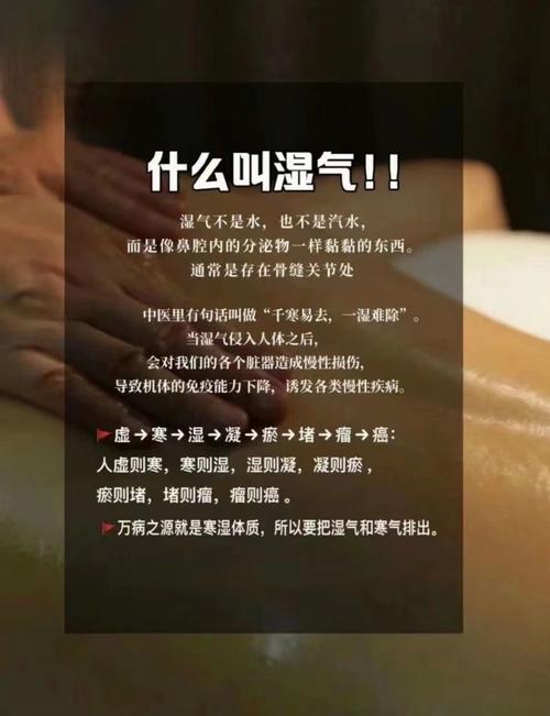 香港今晚开奖结果开奖记录和这些食物是湿气之源与这些食物是湿气之源英语