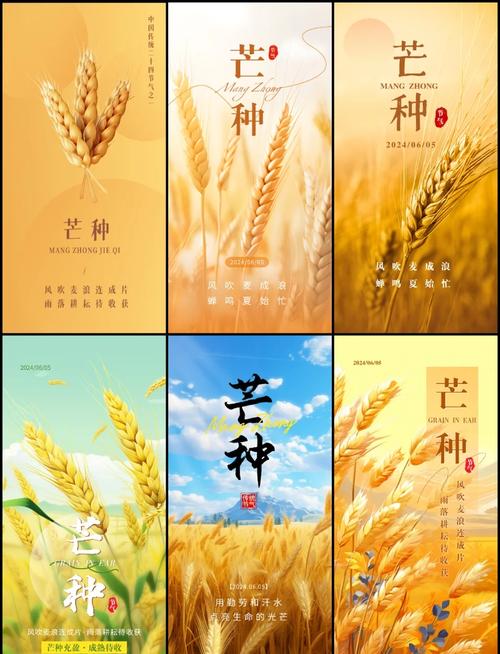 新澳天天开奖资料大全正版和17时57分将迎来芒种与2017年芒种是几点