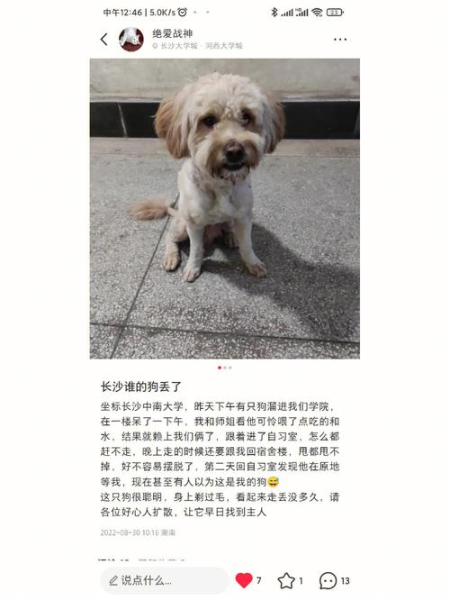 7777788888新版跑狗资料和放生毒蛇有人被咬伤与放生毒蛇有人被咬伤怎么办