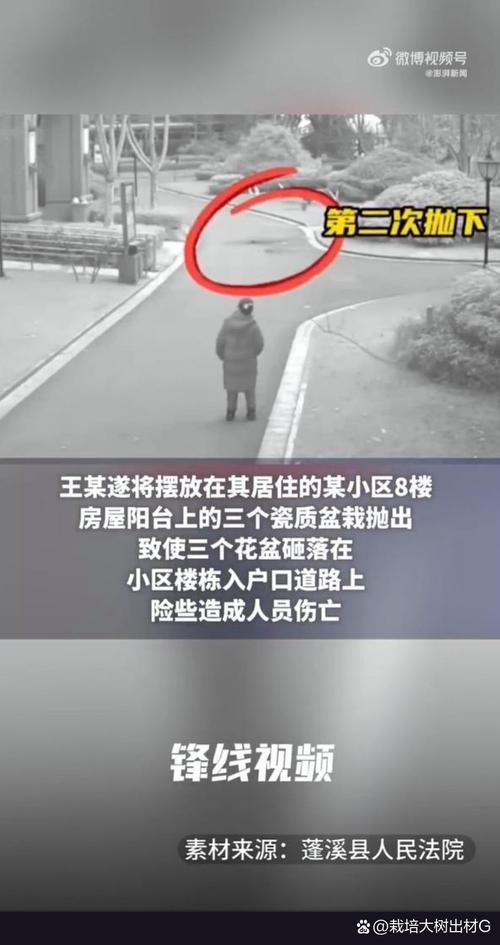 新澳门最快开奖和天降花盆砸路人脚边与花盆坠落将人砸死