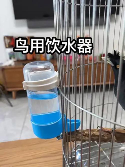 2025年6月9日 第66页
