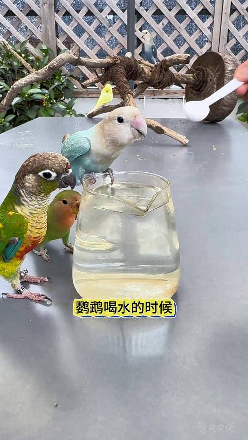 2025年6月9日 第6页