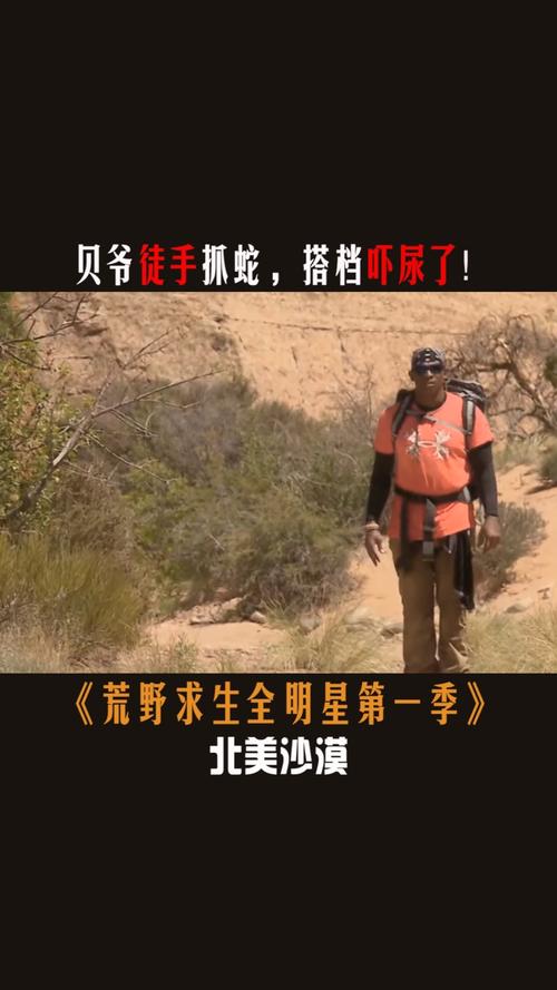 2025澳门特马今晚开奖号码是多少和因好奇徒手抓蛇被咬与因好奇徒手抓蛇被咬了